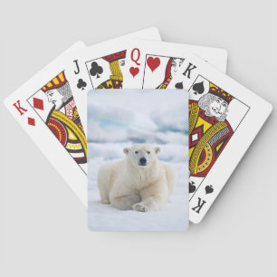 Erwachsener Eisbär auf dem sommerlichen Packeis Spielkarten