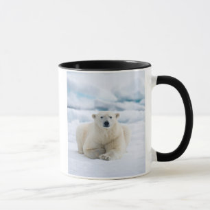 Erwachsener Eisbär auf dem sommerlichen Packeis Tasse