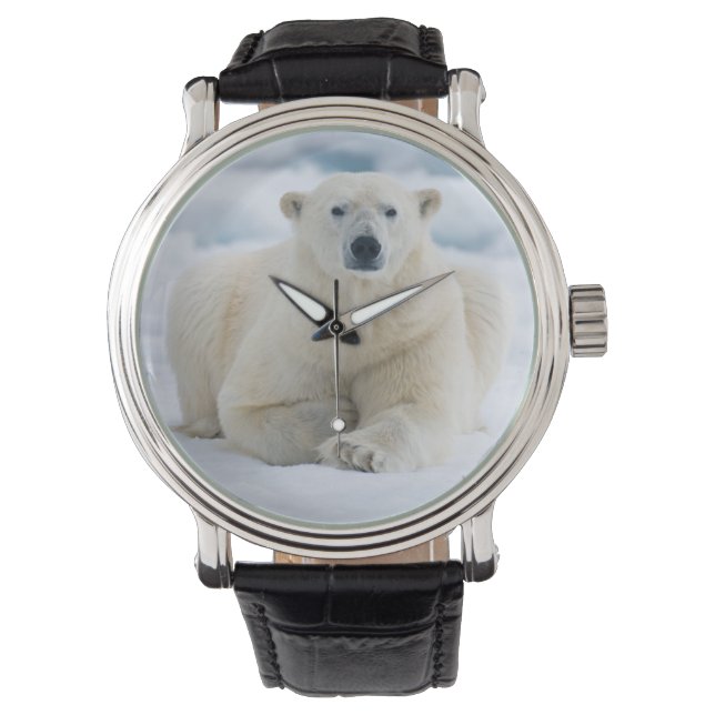 Erwachsener Eisbär auf dem Sommerpackeis Armbanduhr (Vorderseite)