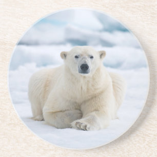 Erwachsener Eisbär auf dem Sommerpackeis Getränkeuntersetzer