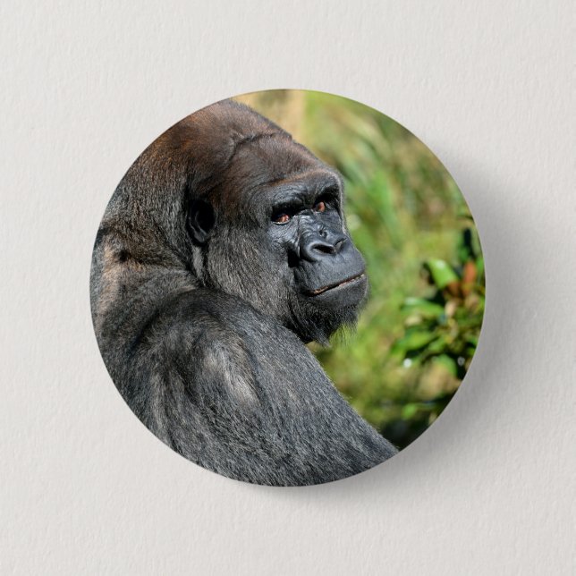 Erwachsener Gorilla Button (Vorderseite)
