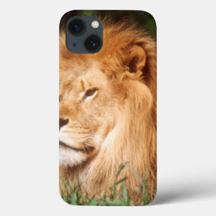 Erwachsener Mannlöwe Case-Mate iPhone Hülle