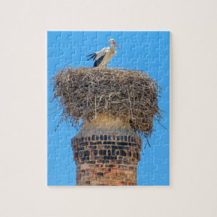 Erwachsener Storch im Nest auf chimney.JPG
