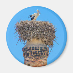 Erwachsener Storch im Nest auf chimney.JPG Magnet