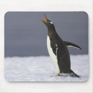Erwachsener Vogel Gentoo Pinguins (Pygoscelis Mousepad