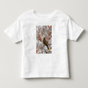 Erwachsener Zedernseidenschwanz auf Weißdorn mit S Kleinkind T-shirt