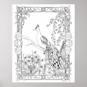 Erwachsenes Farbton-Plakat "hübsch als Pfau-Kunst Poster