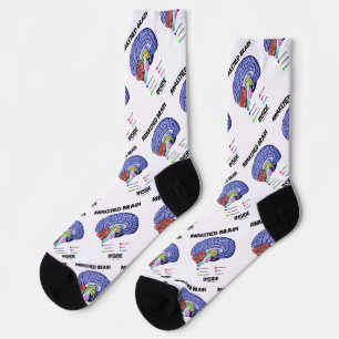 Erwachter Brain Inside Brain Anatomie Geek Spaß Socken