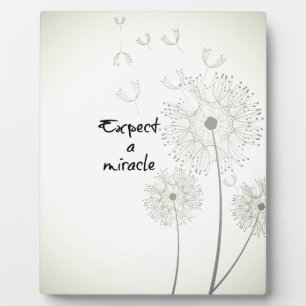 Erwarte ein Wunder Inspirierend Fotoplatte