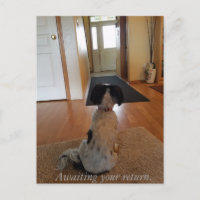 Erwartung der Rückkehr