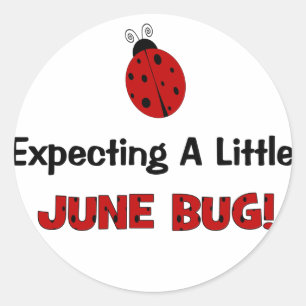 Erwartung eines kleinen Bug Maternity im Juni Runder Aufkleber
