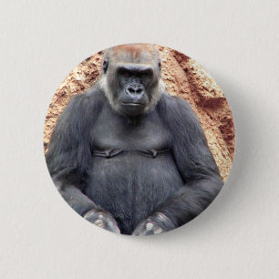 Erwartungen_ Button