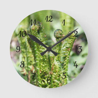 Erwecken des jungen Farns im Garten Runde Wanduhr