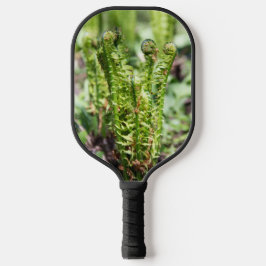 Erwecken des jungen Farns in der Gartenschau Pickleball Schläger