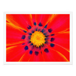 Erweiterung des Fotos Fotodruck