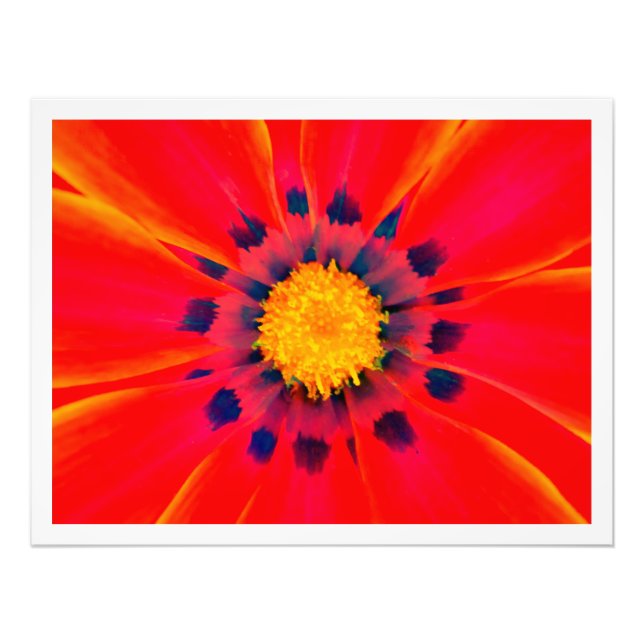 Erweiterung des Fotos Fotodruck (Vorne)