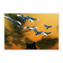 Erweiterung des Fotos