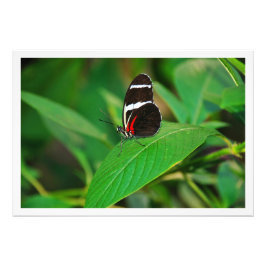 Erweiterung des Fotos Fotodruck