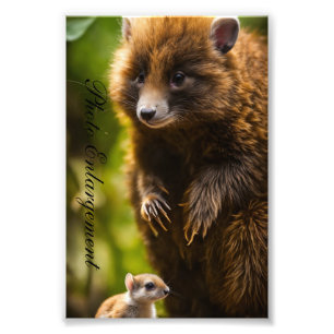 Erweiterung des Fotos Fotodruck