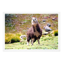 Erweiterung des Fotos