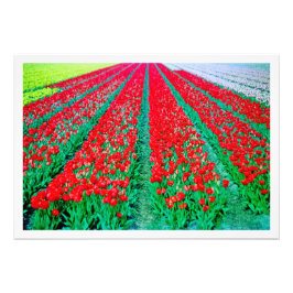 Erweiterung des Fotos Fotodruck