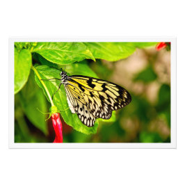 Erweiterung des Fotos Fotodruck