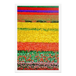 Erweiterung des Fotos Fotodruck