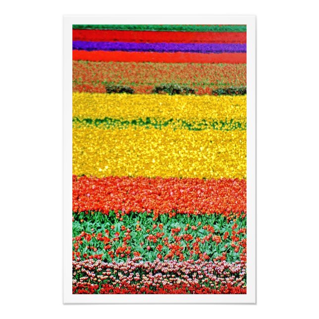 Erweiterung des Fotos Fotodruck (Vorne)