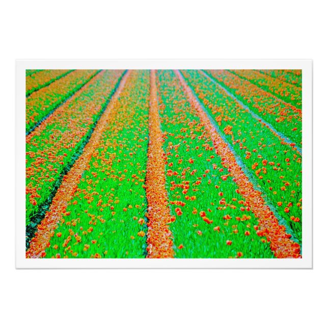 Erweiterung des Fotos Fotodruck (Vorne)