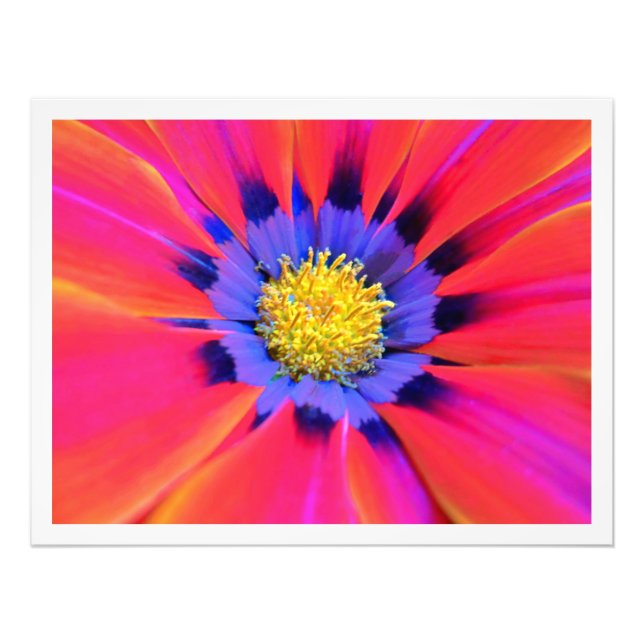 Erweiterung des Fotos Fotodruck (Vorne)