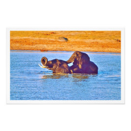 Erweiterung des Fotos Fotodruck