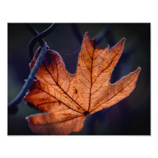 Erweiterung des Fotos im Herbst Fotodruck