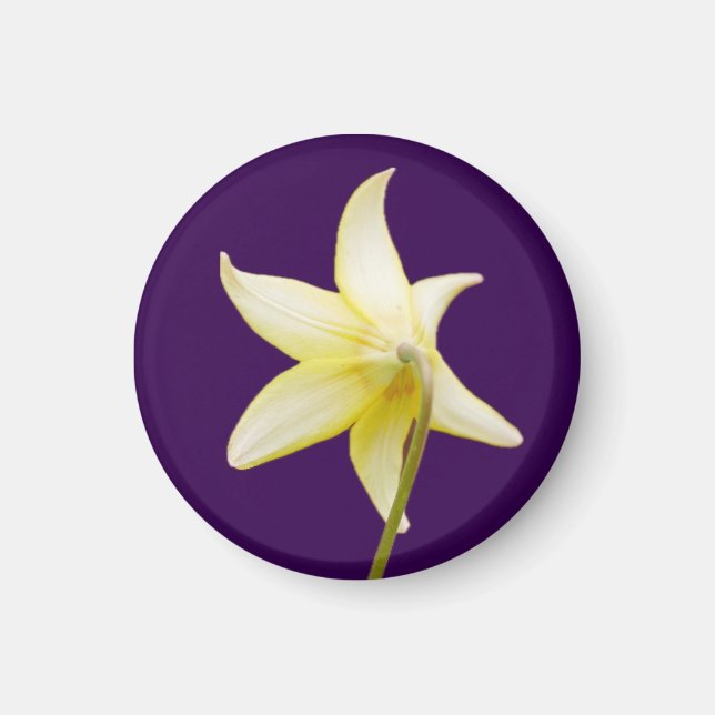 Erythronium Magnet (Vorne)