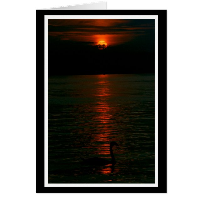 Es avec Nacht Karte (Devant)