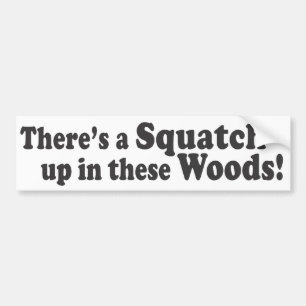 Es gibt ein Squatch oben in diesem Holz! Autoaufkleber