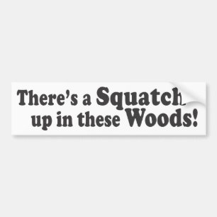 Es gibt ein Squatch oben in diesem Holz! Autoaufkleber