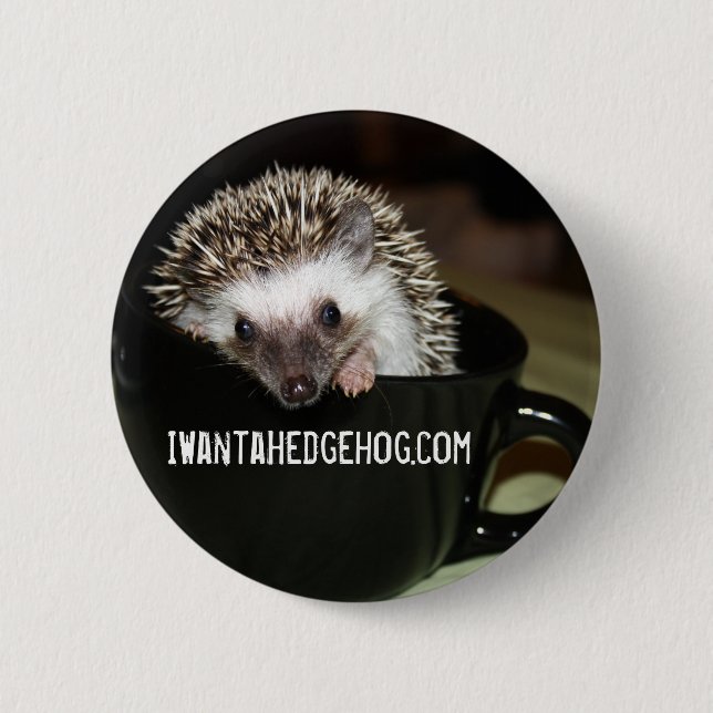Es gibt einen Igel in meinem Kaffee Button (Vorderseite)