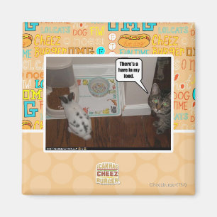 Es gibt Hasen in meiner Nahrung Magnet