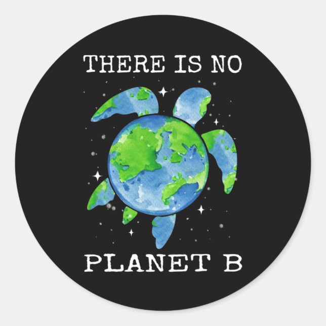 Es gibt keine Geschenke des Planeten B Schildkröte Runder Aufkleber (Vorderseite)