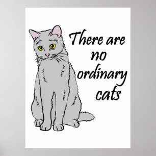Es gibt keine gewöhnlichen Katzen Poster