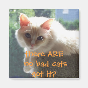 Es gibt keine schlechten Katzen. Got ihn? Magnet