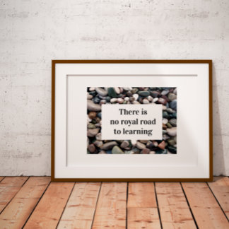 Es gibt keinen Königsweg zum Lernen von Poster