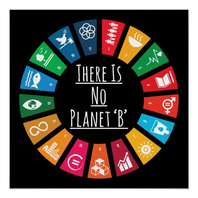Es gibt keinen Planeten-B-Klimawandel globale Erwä Poster (Vorderseite)