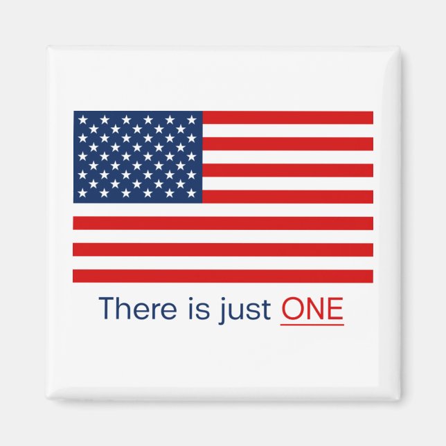 Es gibt nur eine amerikanische Flagge. Magnet (Vorne)