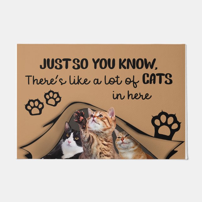 Es gibt viele Katzen hier drin, Innenmatte Fußmatte (Vorderseite)