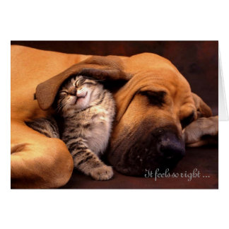 Es glaubt so Recht, mit Ihnen zu sein