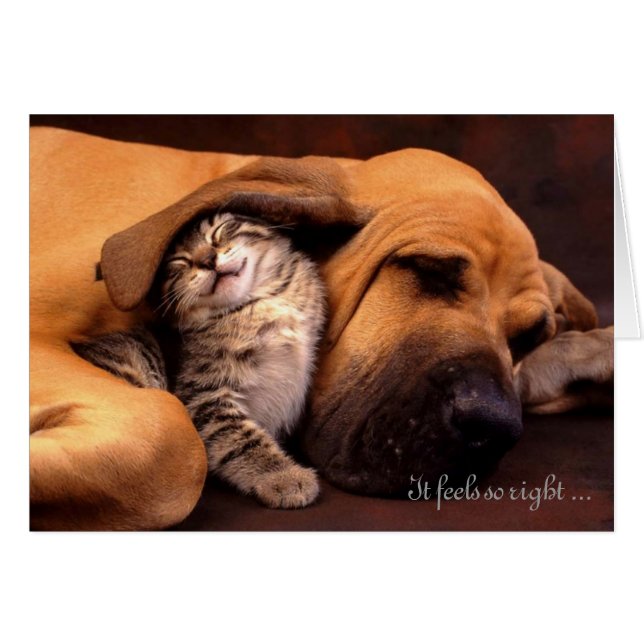 Es glaubt so Recht, mit Ihnen zu sein (Vorderseite (Horizontal))