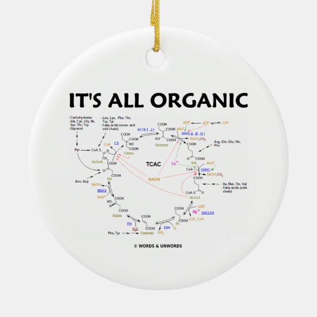 Es ist alles Bio (Krebs Zyklus-Spaß) Keramik Ornament (Hinten)