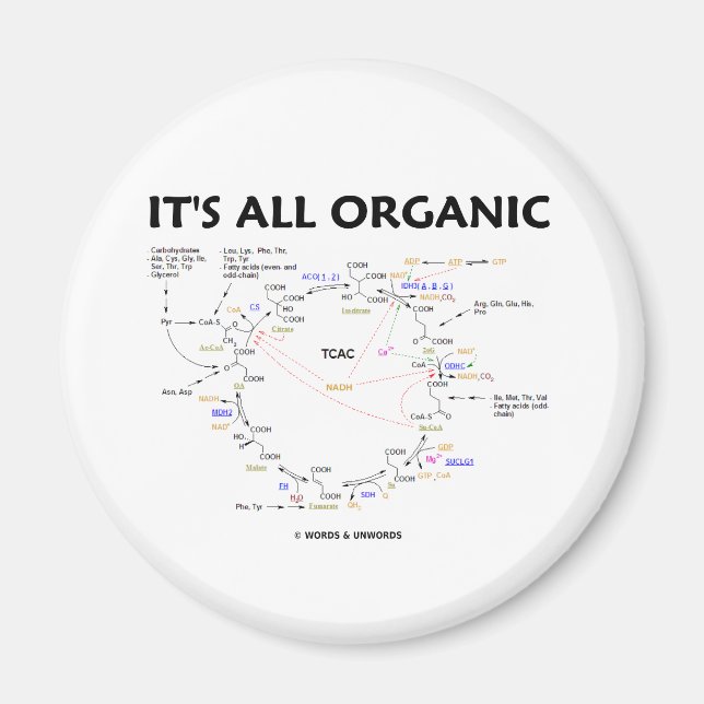Es ist alles Bio (Krebs-Zyklus / Zitronensäurezykl Magnet (Vorne)