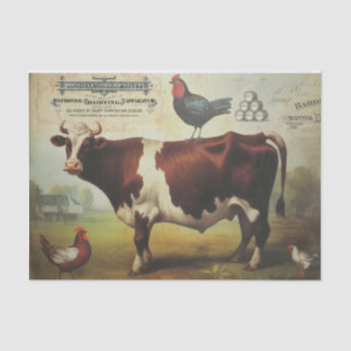Es ist alles Bull Seidenpapier